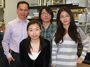 members of the Sun Group working in the lab of Yujie Sun