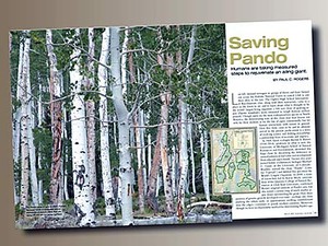 a page from 'Natural History' magazine