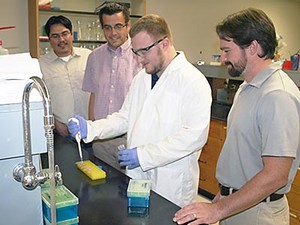 Laboratory workers identifying ticks in Lyme disease research