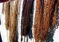 yarns from Museum of Anthropology exhibit