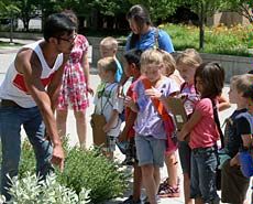 a group of students during a campus insect tour