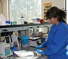 lab worker Maria Hansen 