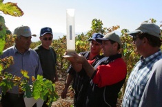 A group from Armenia is involved in a California project