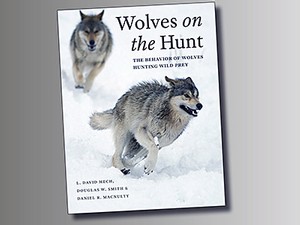 the cover for the book