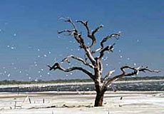 Lake Mar Chiquita in Argentina