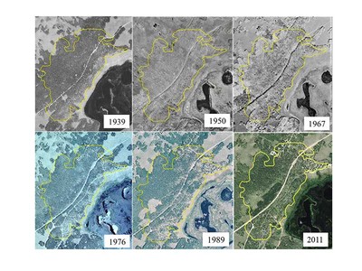 A seventy-two year aerial photo chronosequence showing forest cover change within the Pando