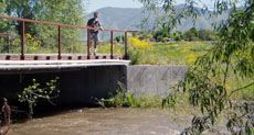 The Little Bear River in springtime