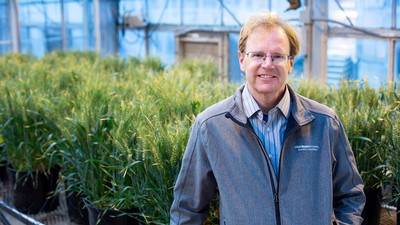 Professor of biological engineering David Britt.