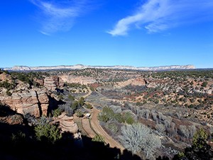 Best Friends Animal Sanctuary in Kanab