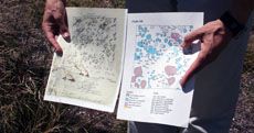 Data sheets from Adler's research