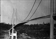 Tacoma Narrows Bridge