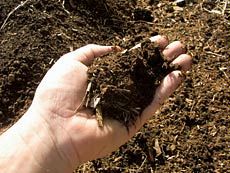 A hand with soil