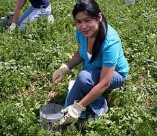 USU student researcher Carmina Moore
