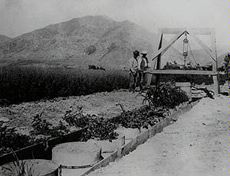 100 Years of Research and Science at the Greenville Farm