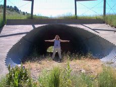 USU researcher standing near wildlife underpass