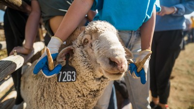 Ram gets examined
