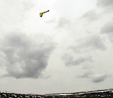 USU plane in test flight in Cache Valley