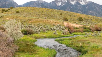 Stream in Idaho.