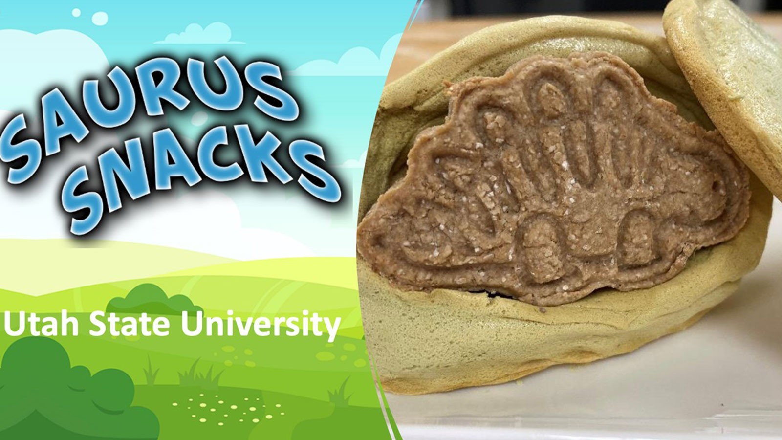 A product promotional image shows the text "Saurus Snacks" next to a dinosaur cookie.