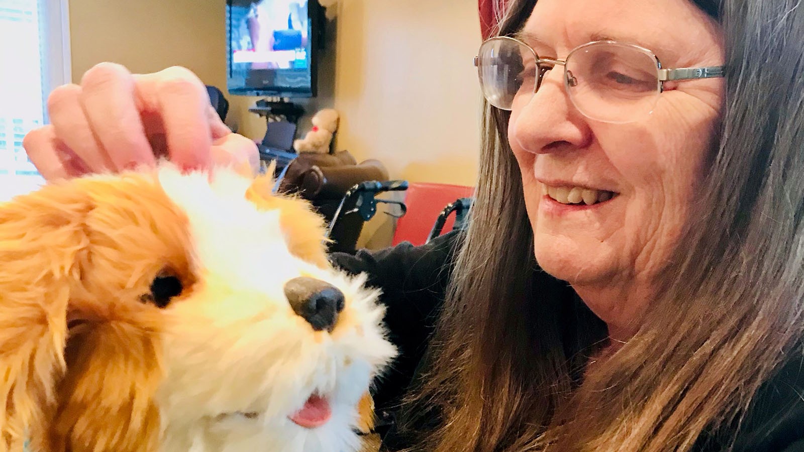 An older person pets a robotic dog.