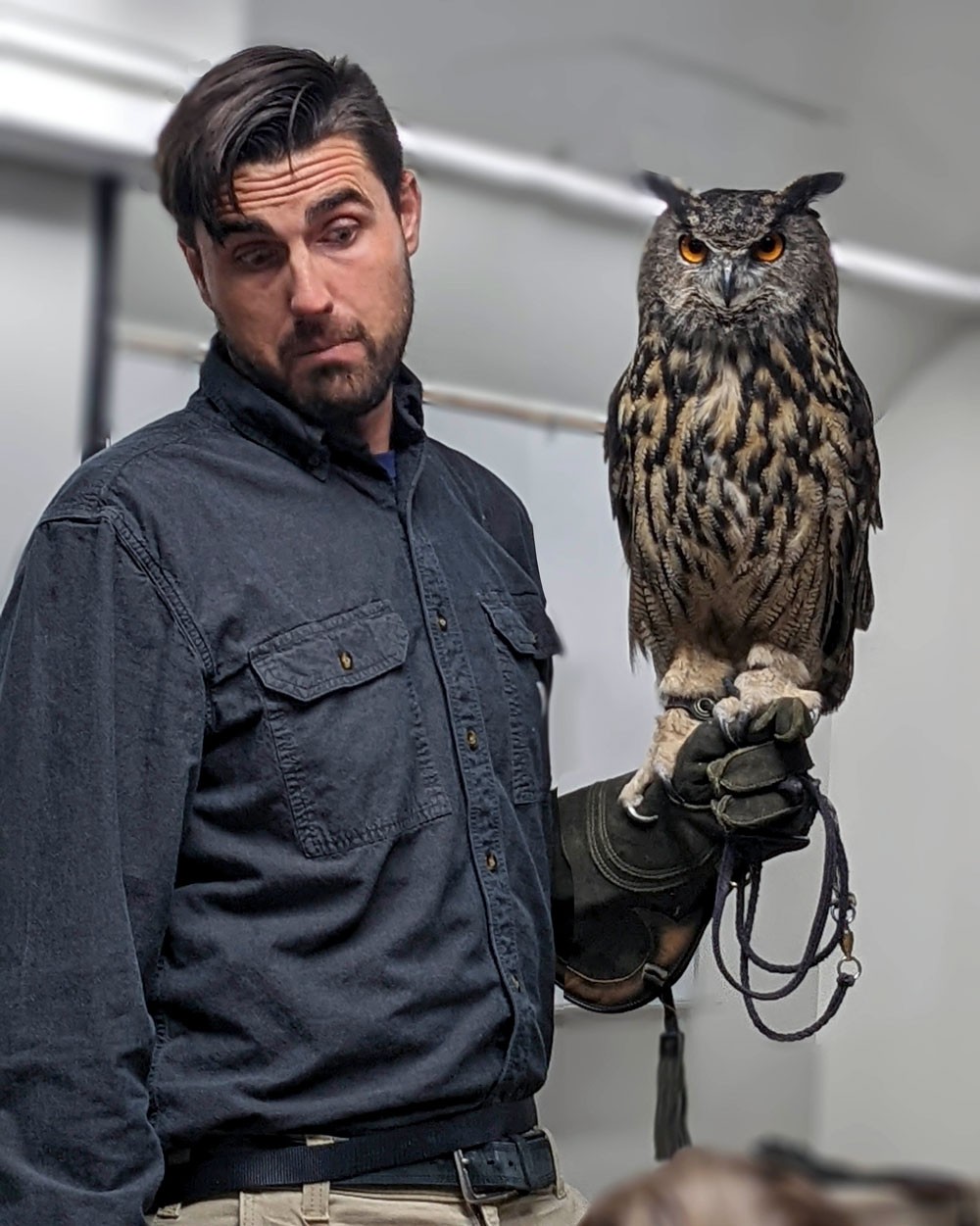 An owl perches on Nick Harris's gloved hand during a demonstration at Utah State University.