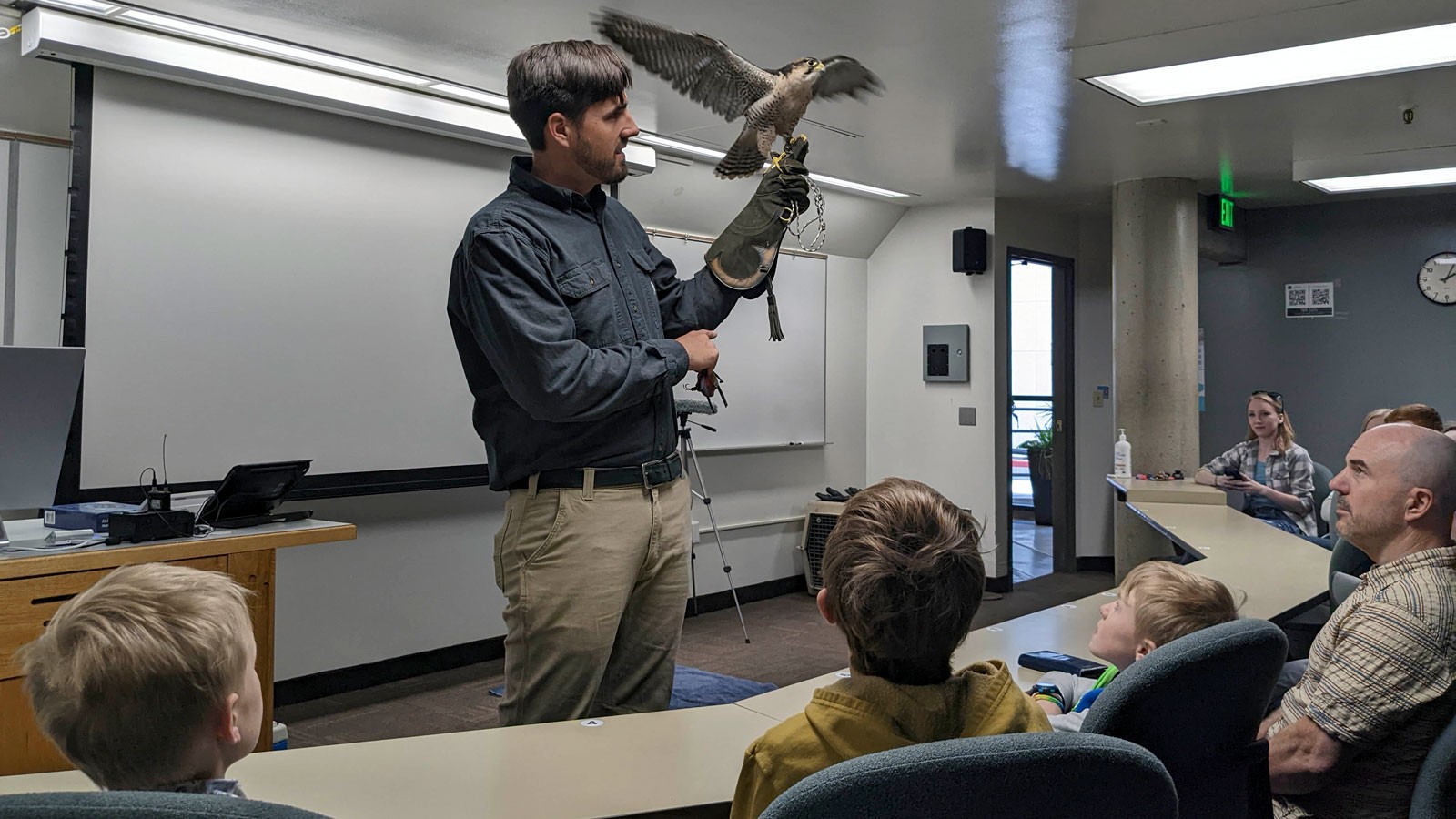A bird of prey flaps its wings while perched on a bird trainer's hand in a USU classroom.