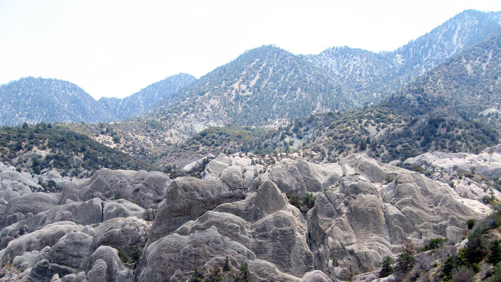 A segment of the Punchbowl Fault.
