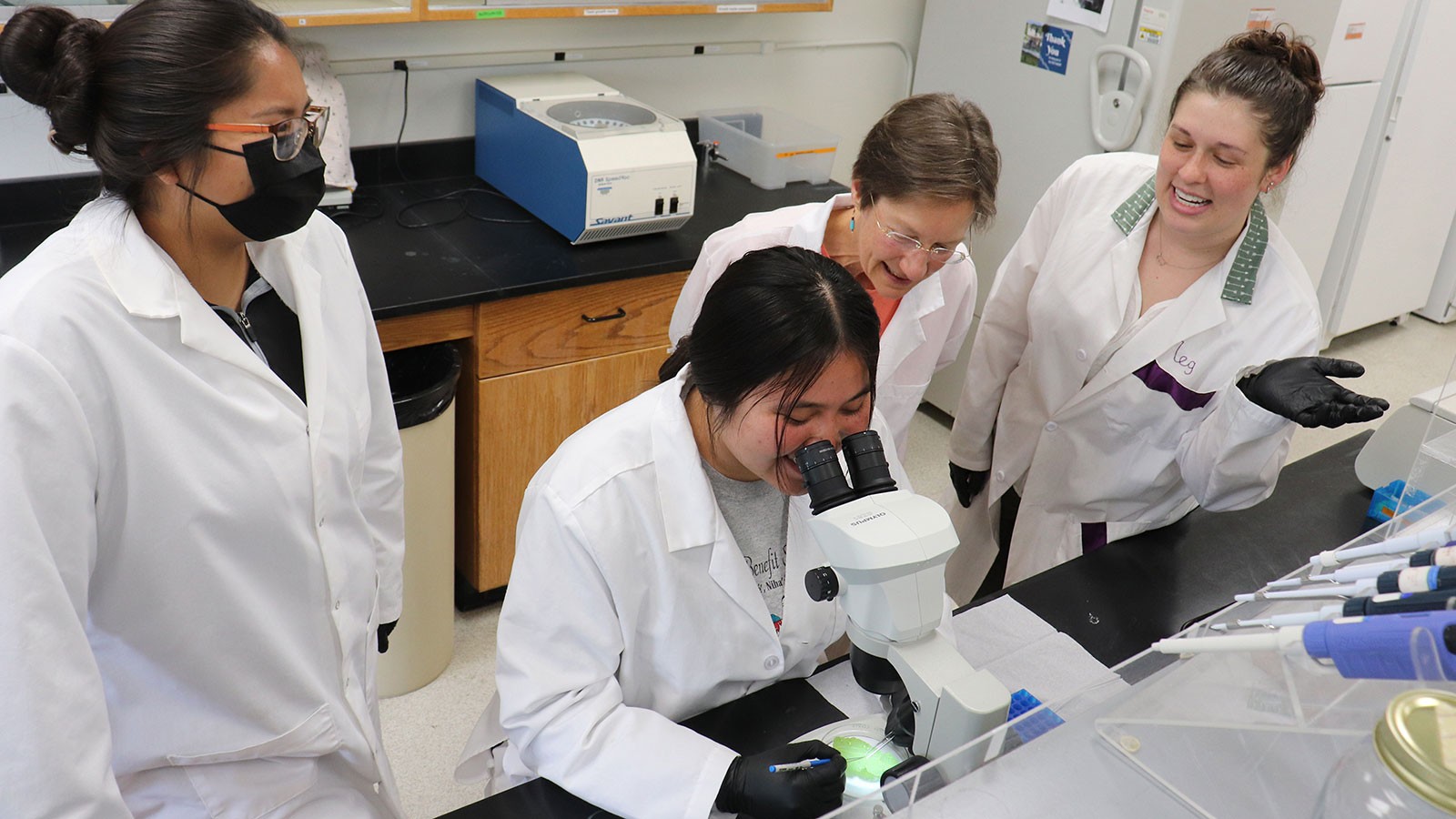 Biologists use a microscope in a laboratory