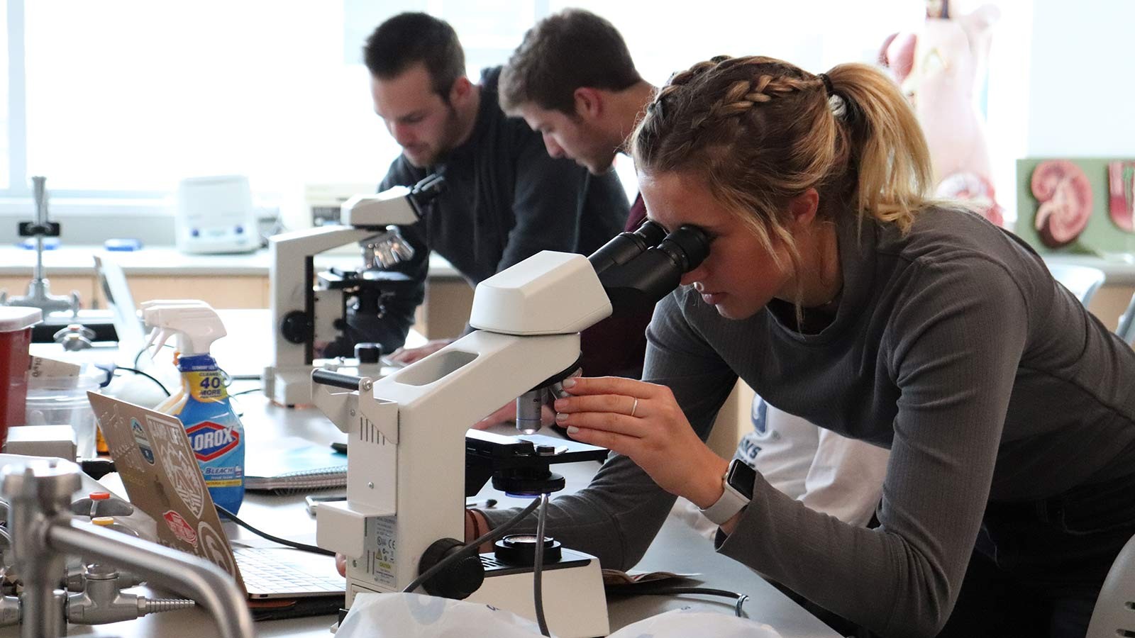 Students look into microscopes in a lab.