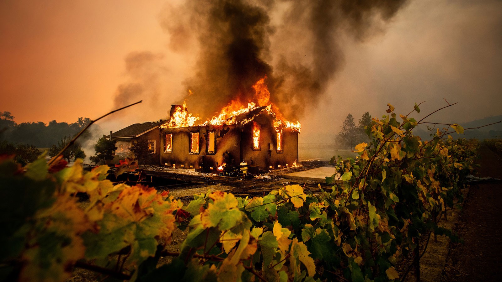 A house burning in a wildfire.