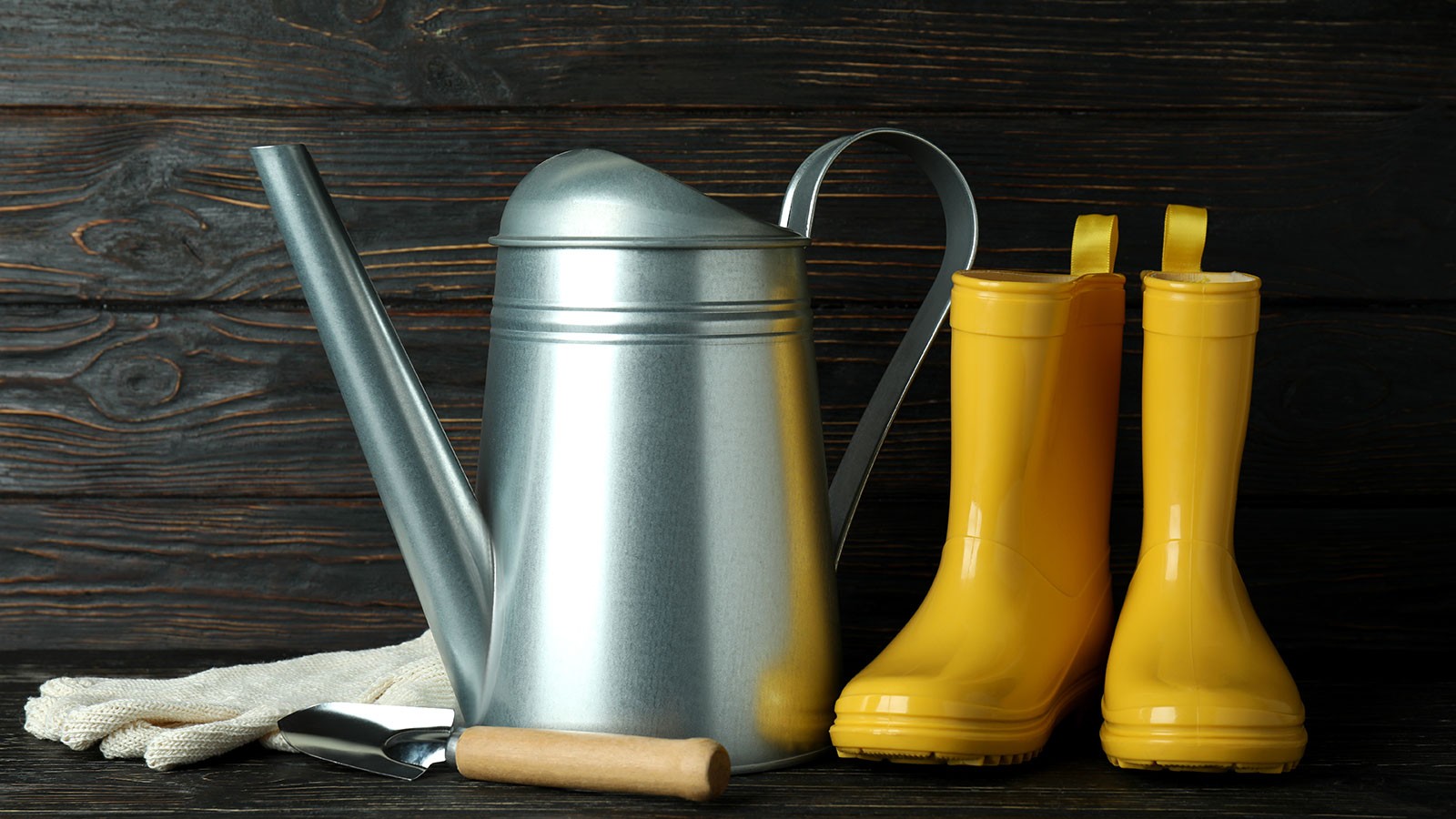 Gardening equipment.