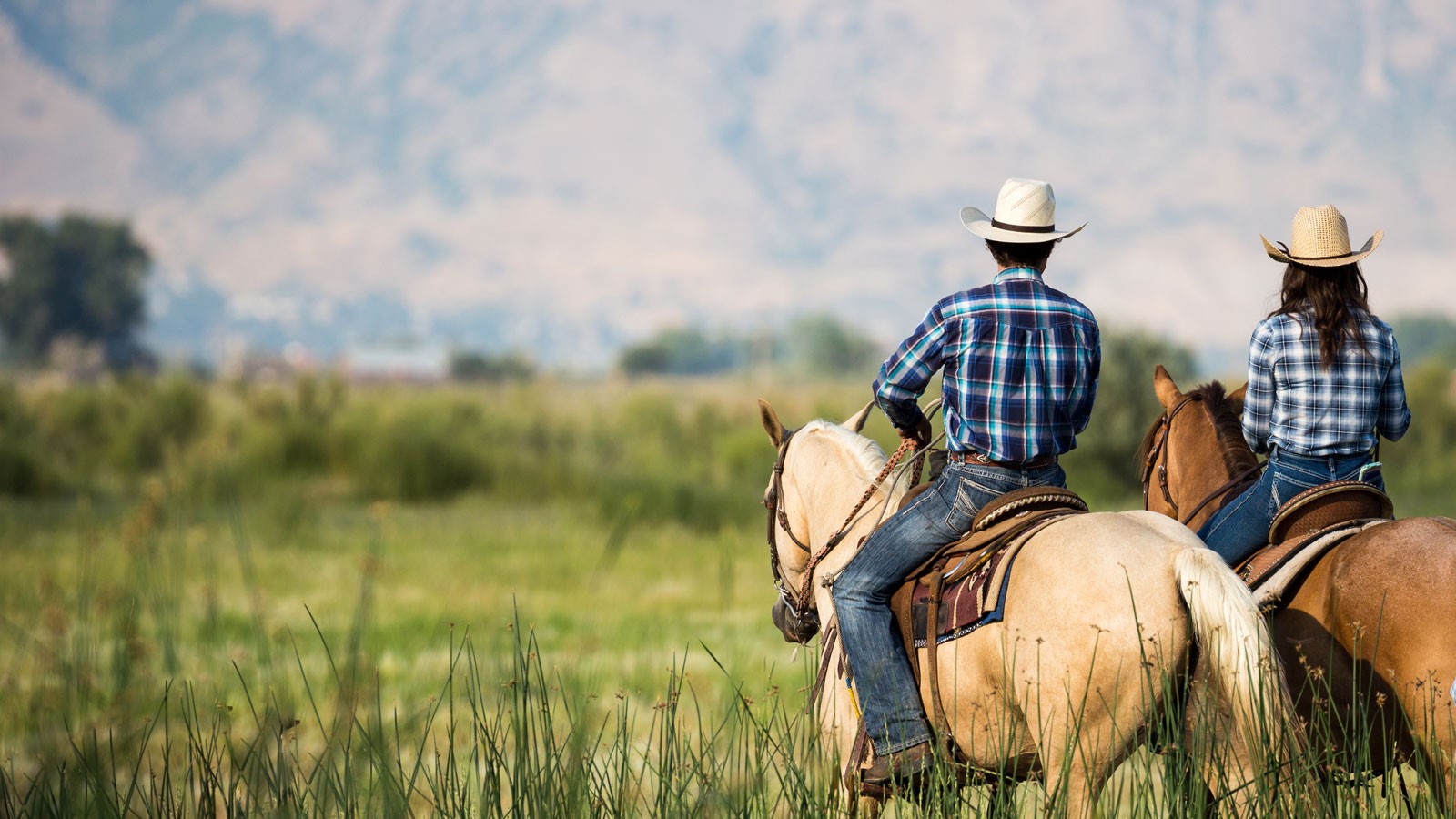 Two people riding horses.