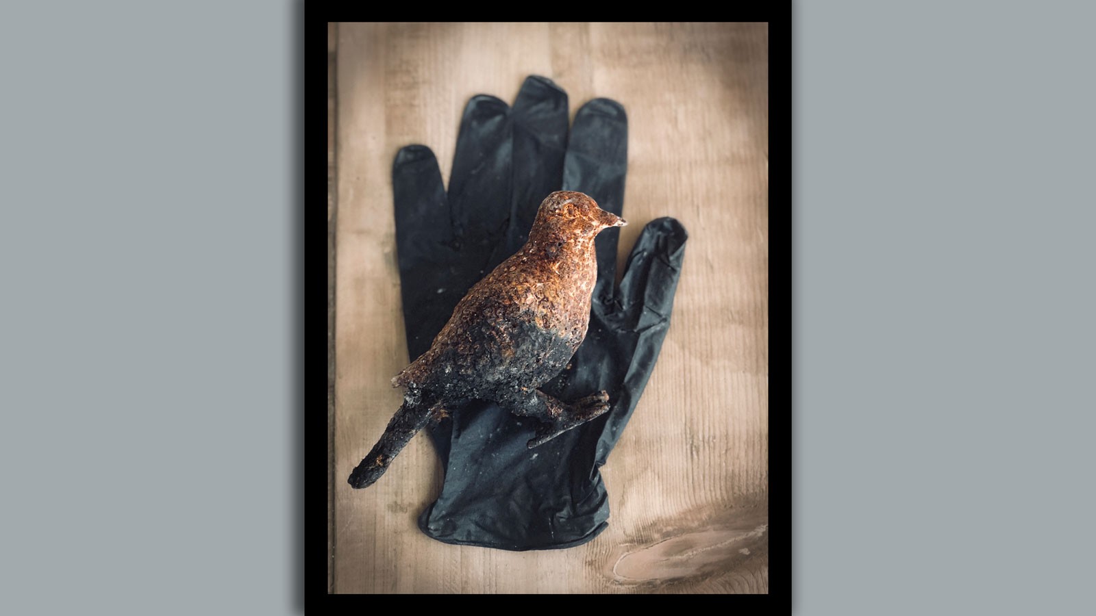A charred ceramic bird on a black rubber glove.