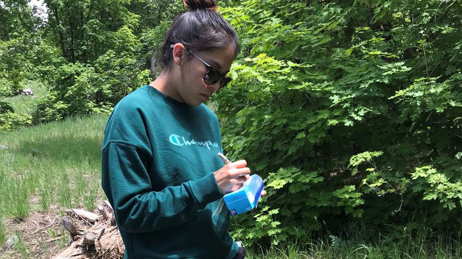 A student collecting tree samples.