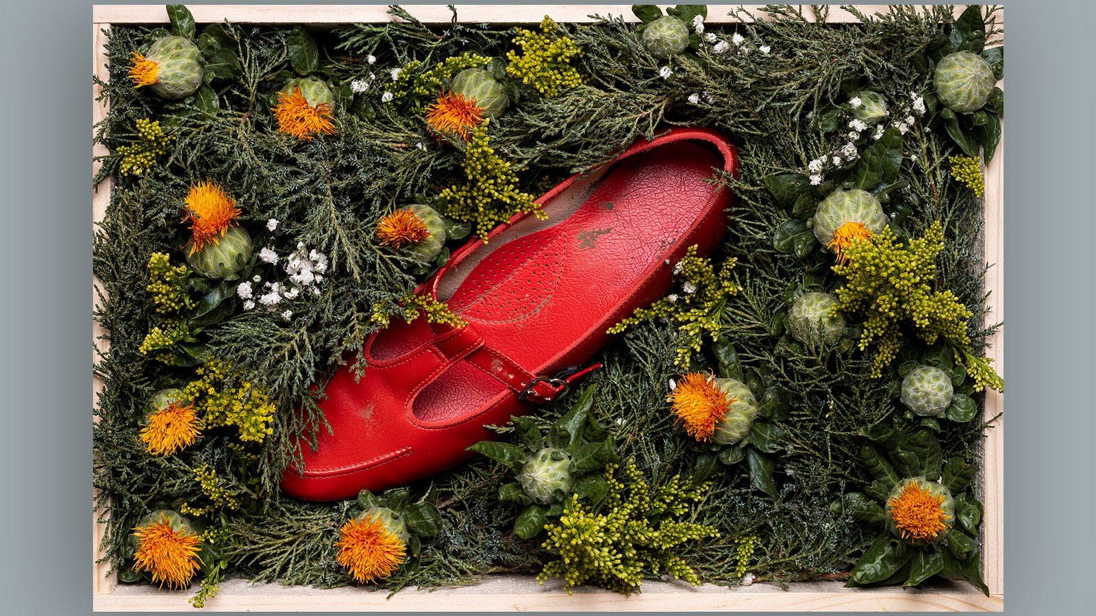 A red woman's shoe on a background of shrubs and blossoms.
