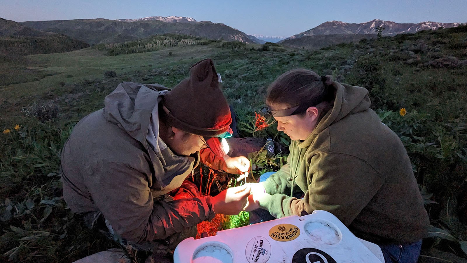 Researchers examining samples in a mountain meadow.