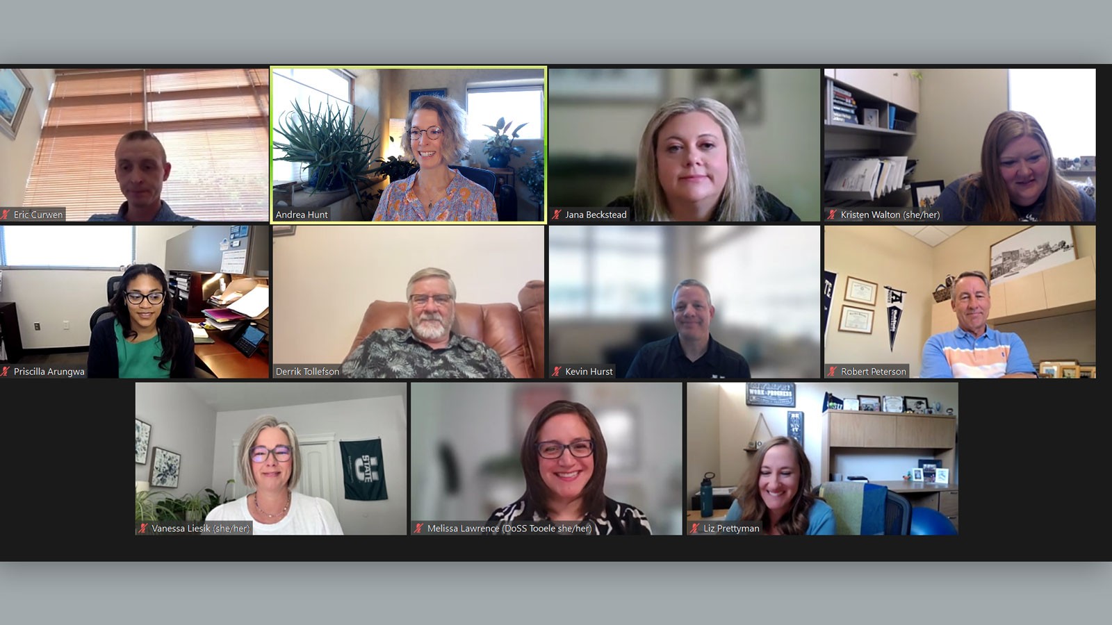 A screenshot of several people in a video conference.