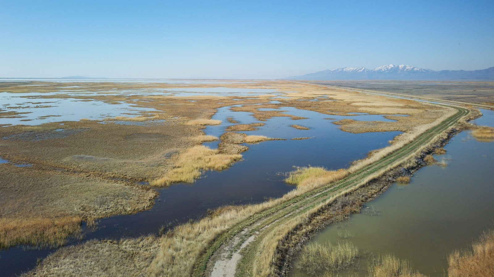 The Bear River Bird Refuge.
