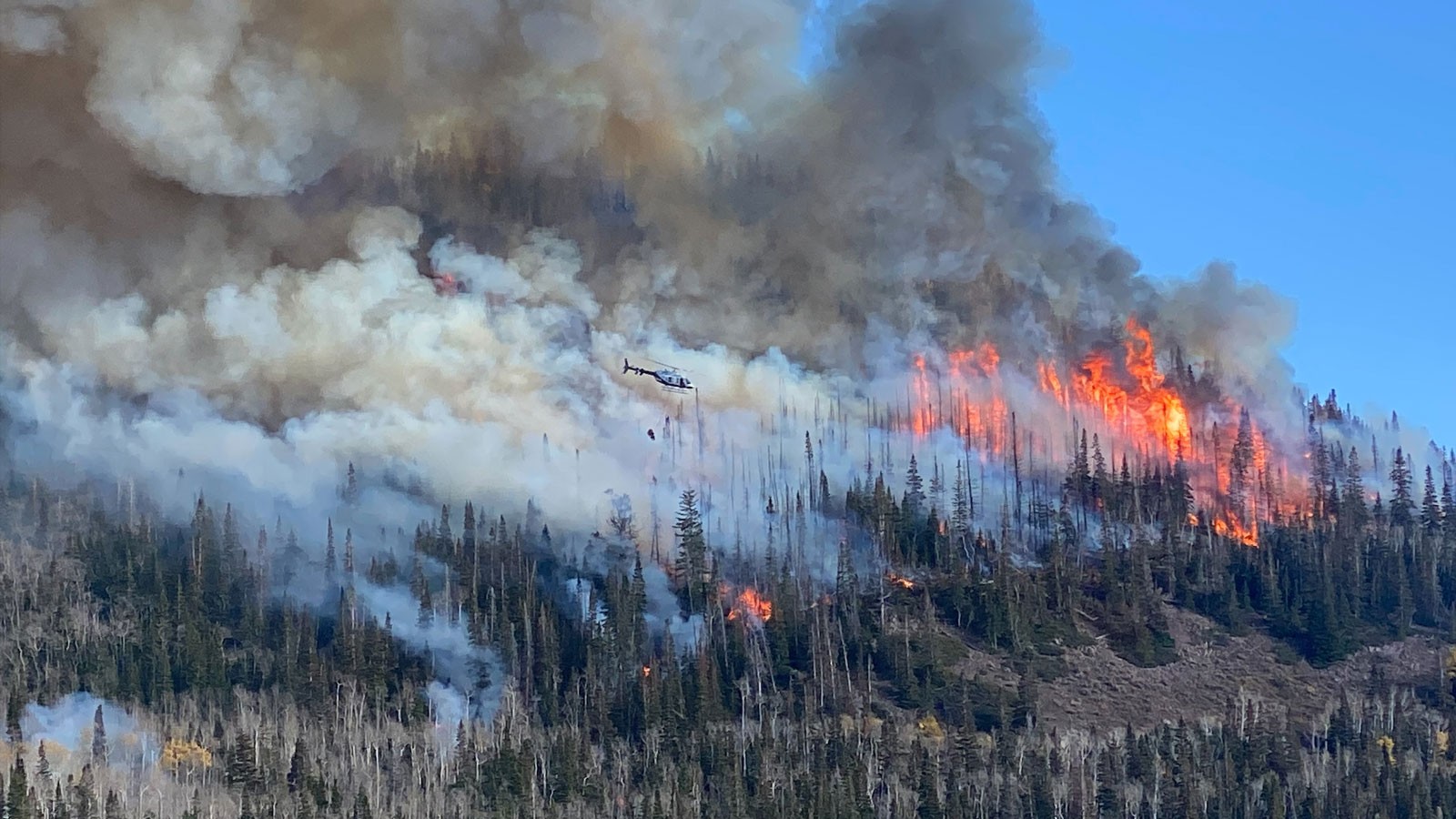 A helicopter flying near burning trees on a mountainside.