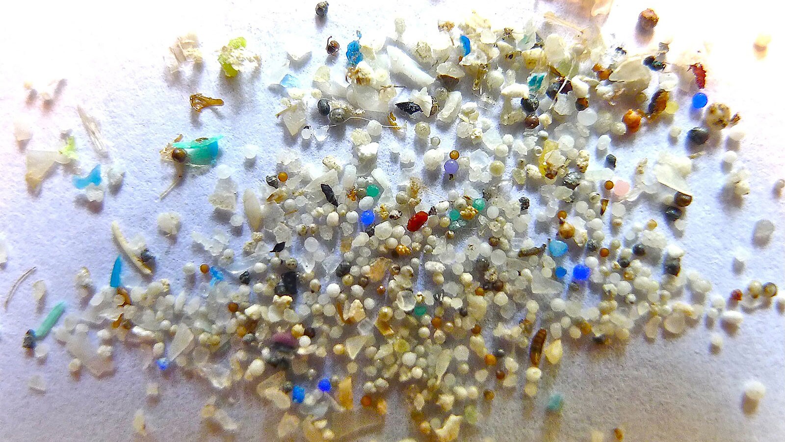 Small fragments of plastic waste.