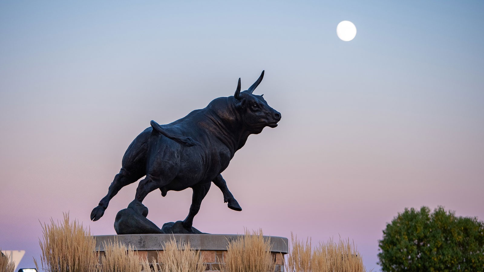 The moon behind a sculpture of a bull.