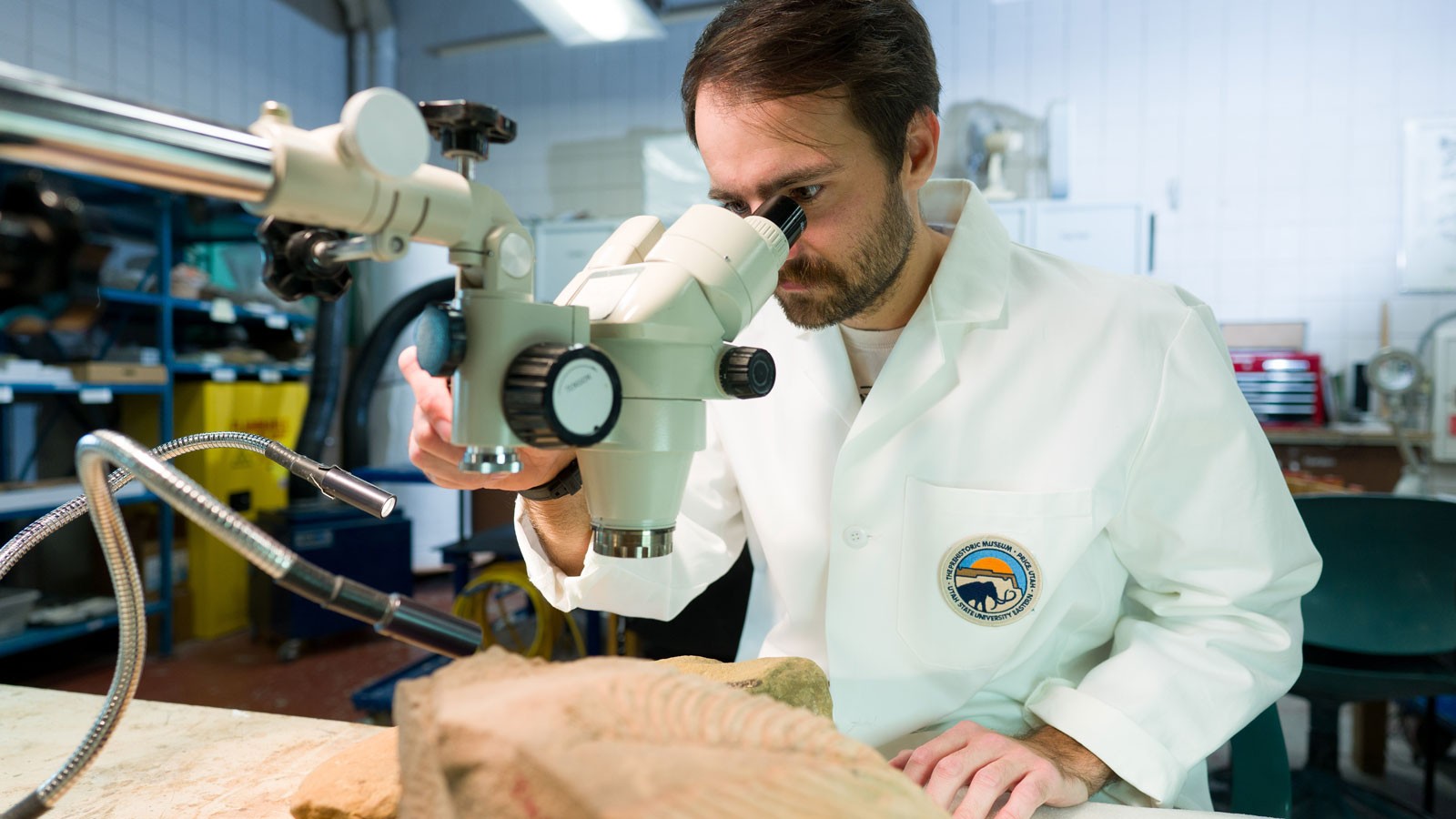 A paleontologist looking through a microscope.