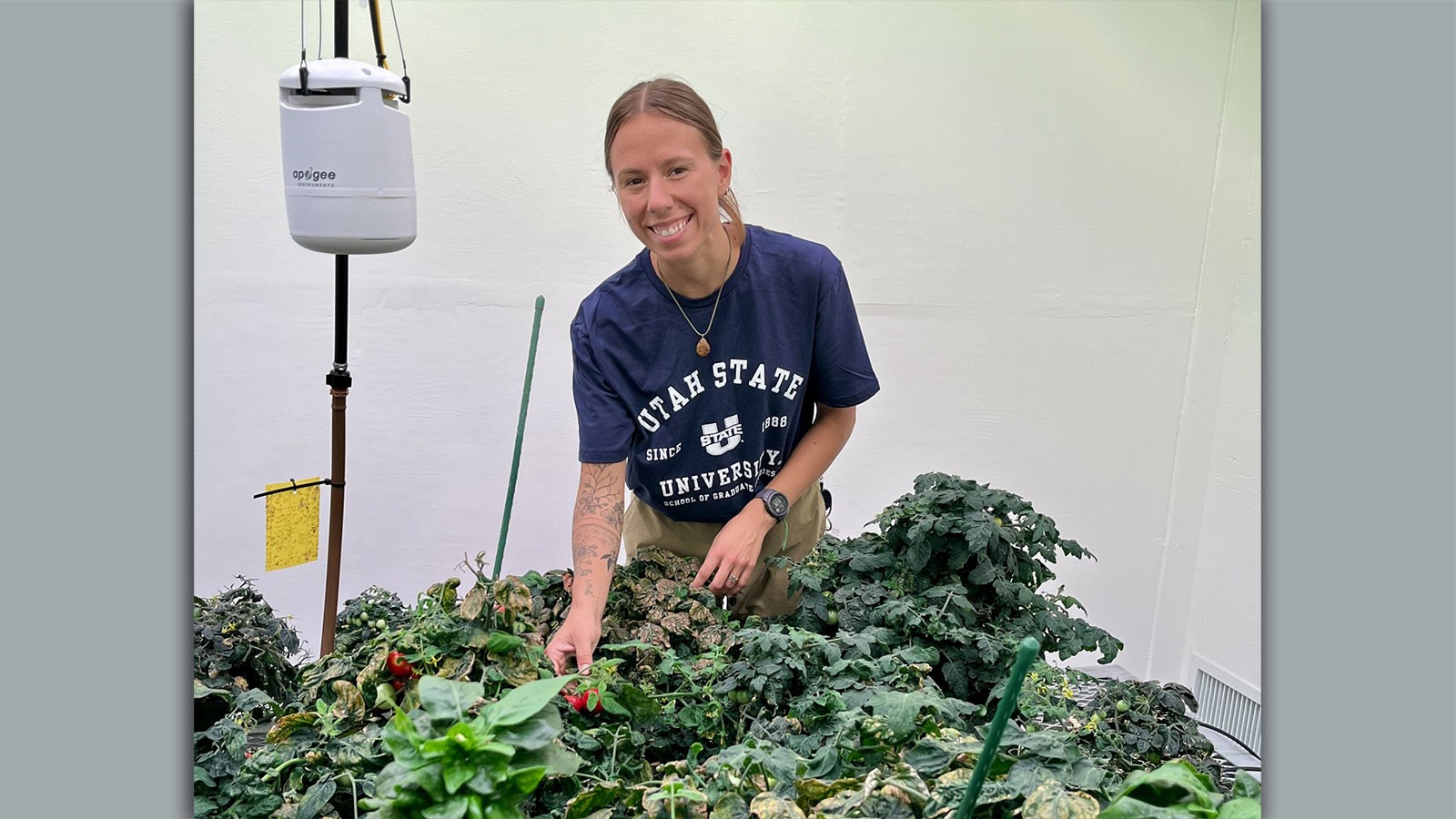Abigail Lazier working with plants.