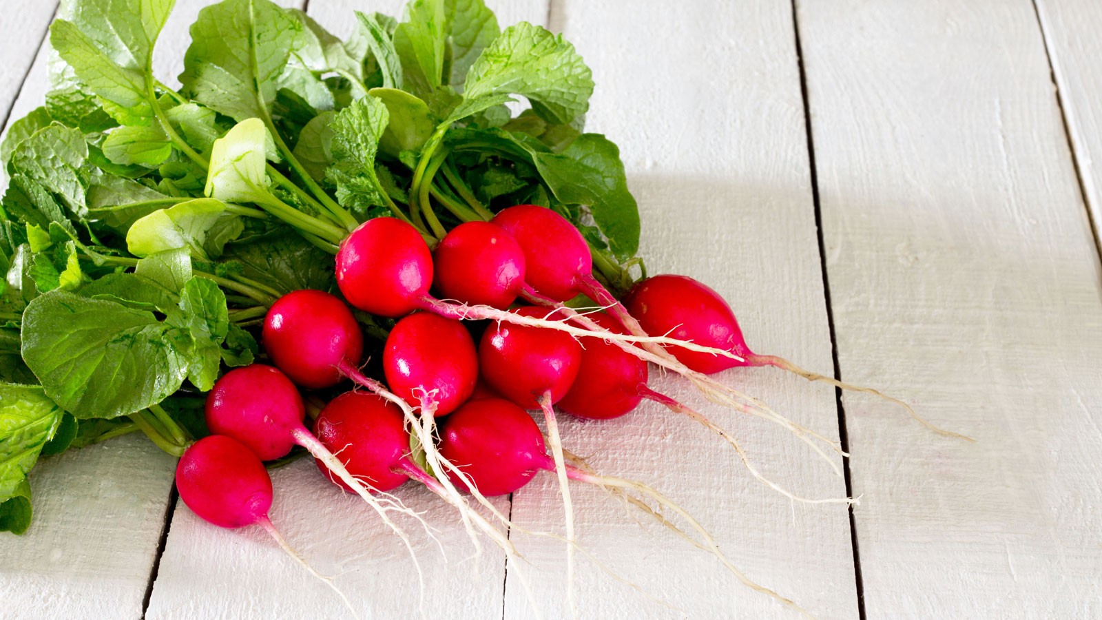 Radishes.