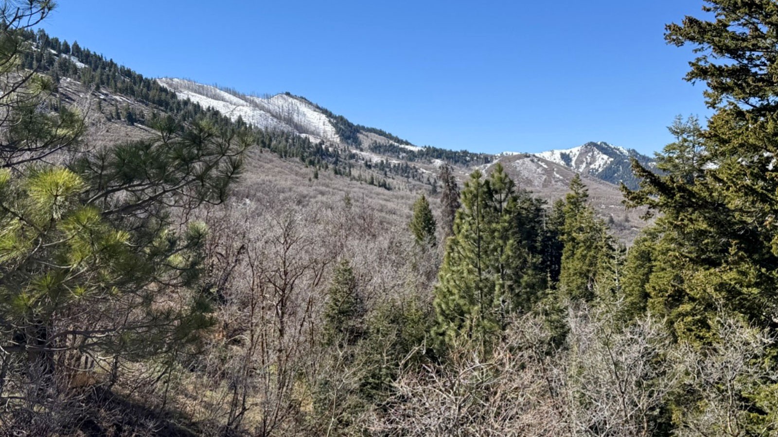 A canyon slope without snow on it.