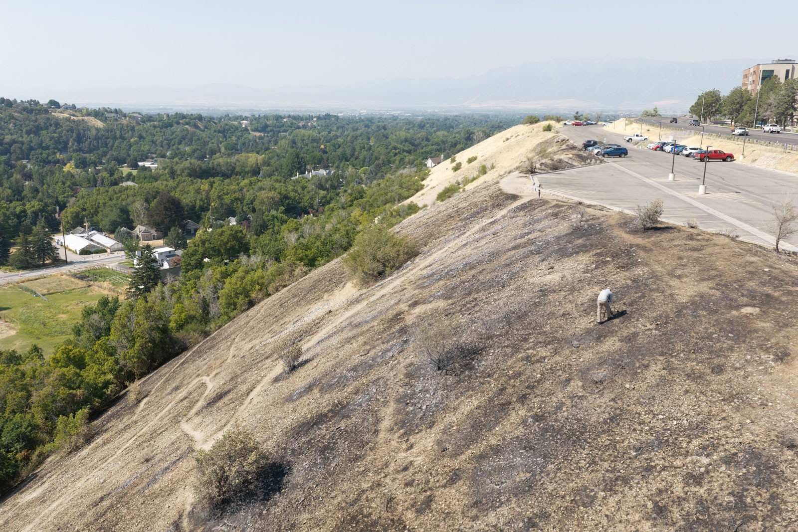Burnt hillside near the USU Logan campus.