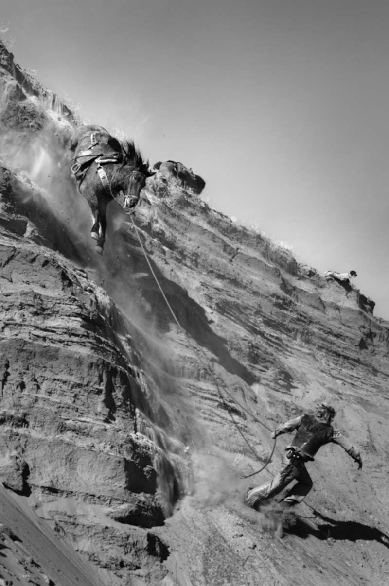A man and a horse running down a steep embankment.