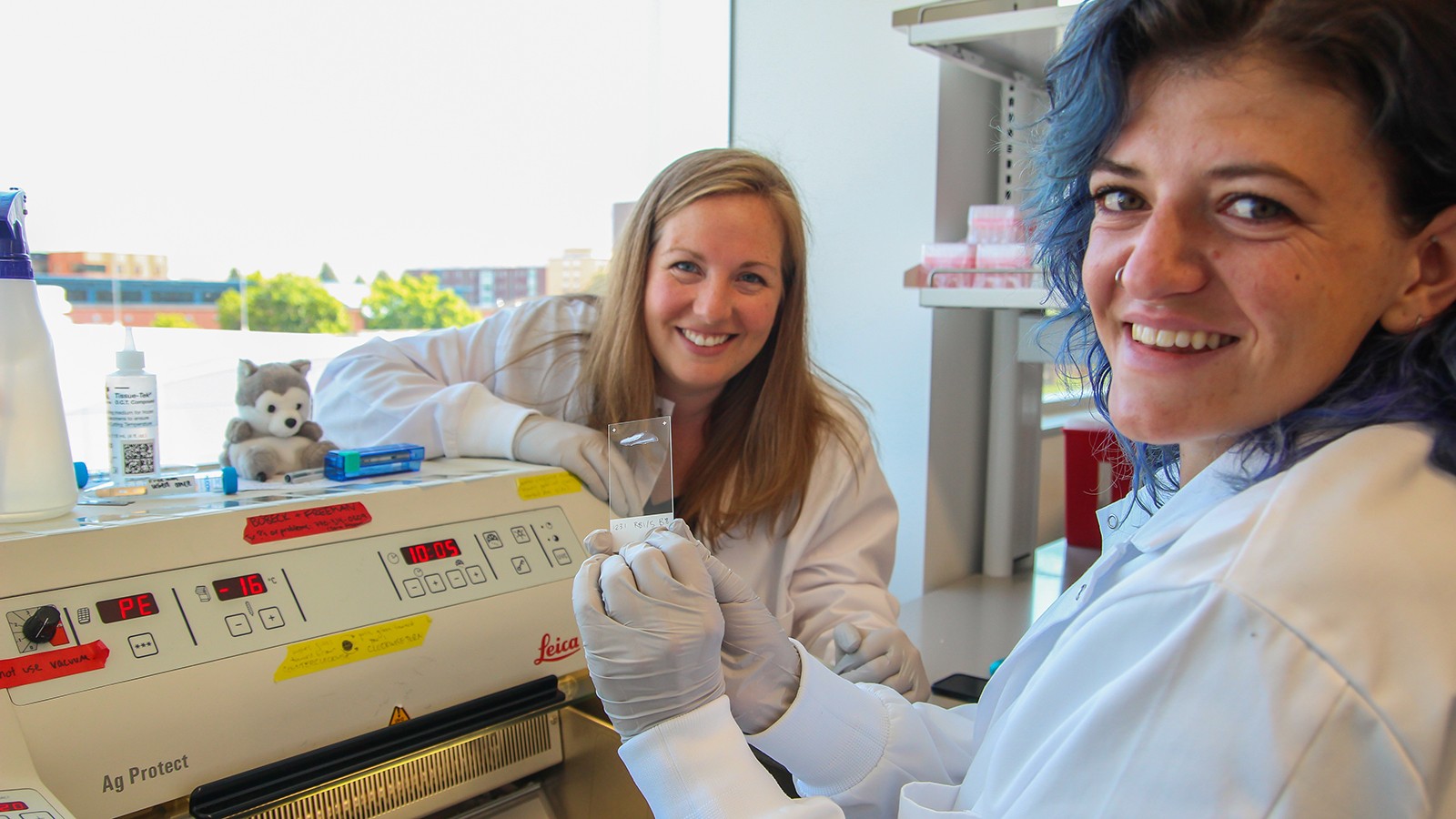 USU neurobiologists in lab