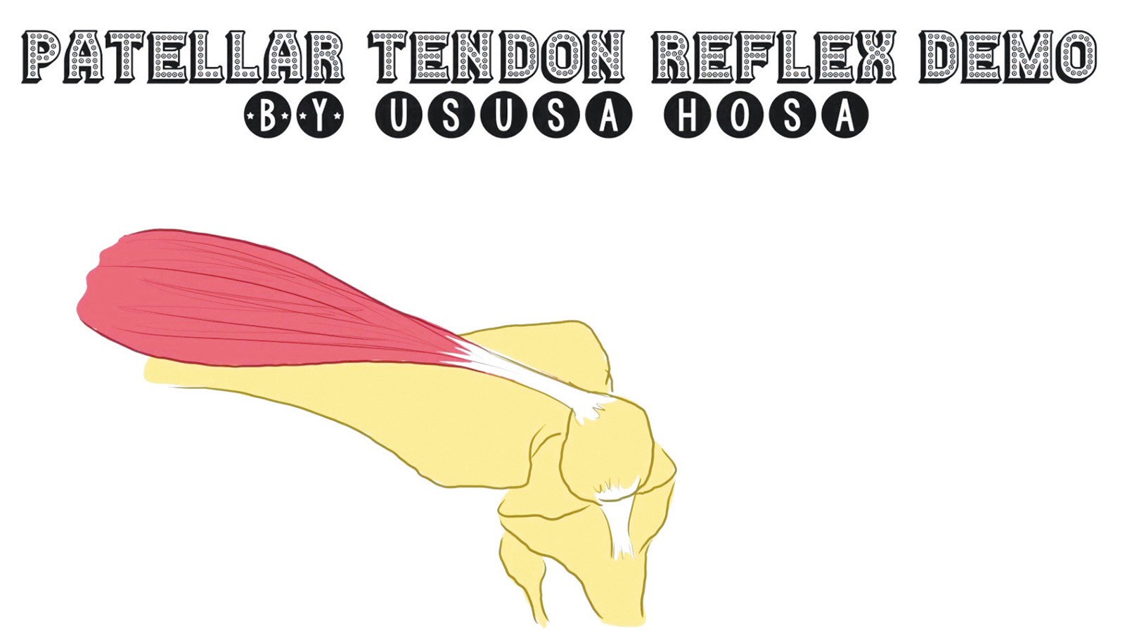 Patellar Tendon illustration.