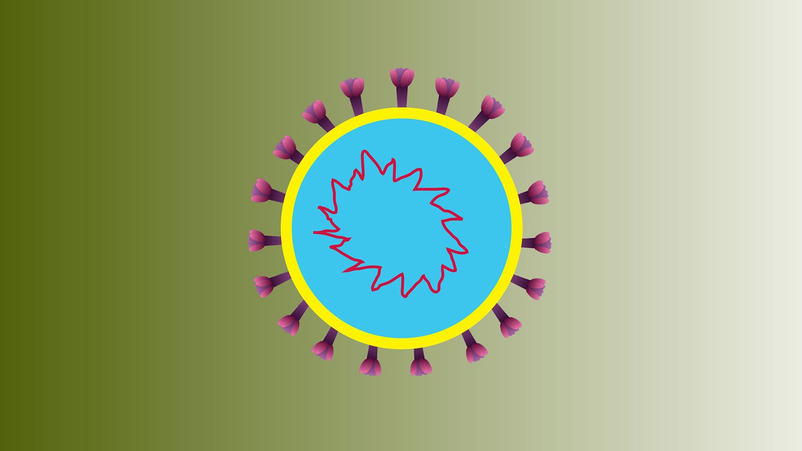 SARS-CoV-2 virion